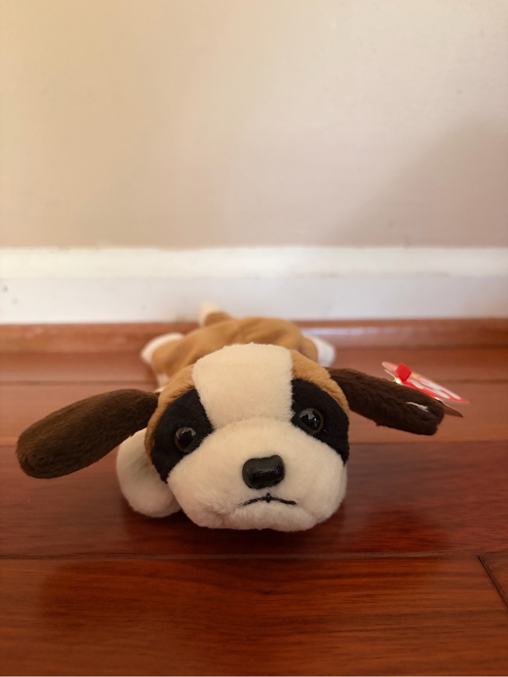 “Bernie” Beanie Baby